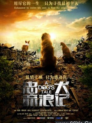 网络电影7